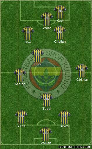 Fenerbahçe SK Formation 2013