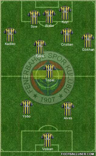Fenerbahçe SK Formation 2013
