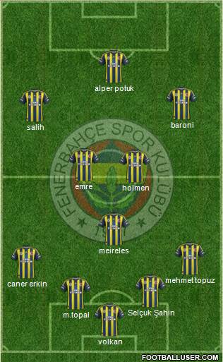 Fenerbahçe SK Formation 2013