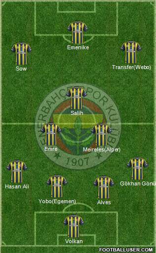 Fenerbahçe SK Formation 2013