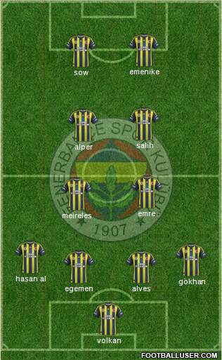 Fenerbahçe SK Formation 2013