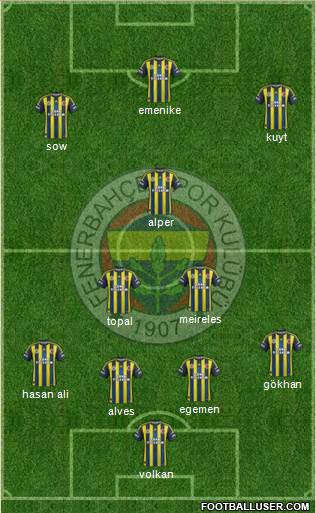 Fenerbahçe SK Formation 2013