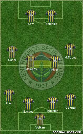 Fenerbahçe SK Formation 2013