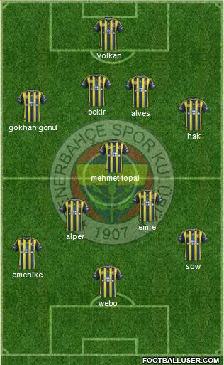 Fenerbahçe SK Formation 2013