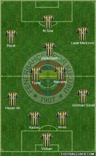 Fenerbahçe SK Formation 2013