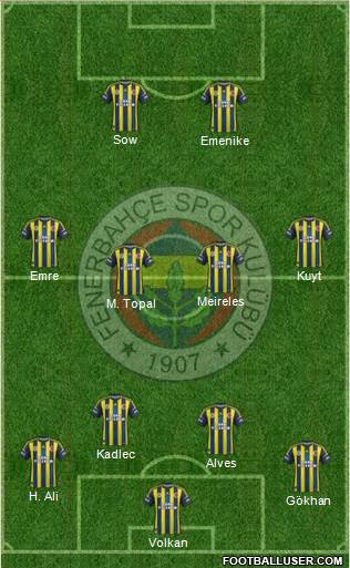 Fenerbahçe SK Formation 2013