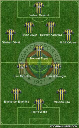 Fenerbahçe SK Formation 2013
