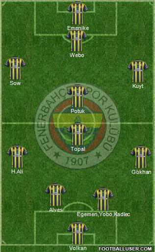Fenerbahçe SK Formation 2013