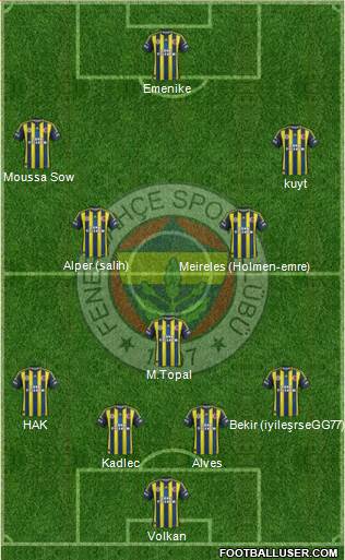 Fenerbahçe SK Formation 2013