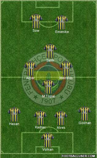 Fenerbahçe SK Formation 2013
