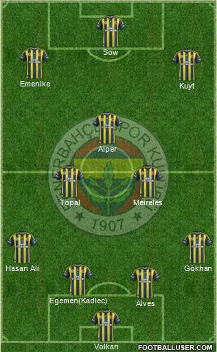 Fenerbahçe SK Formation 2013