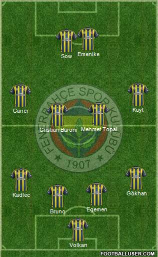 Fenerbahçe SK Formation 2013