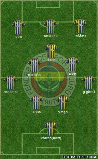 Fenerbahçe SK Formation 2013