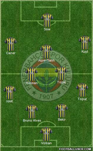 Fenerbahçe SK Formation 2013