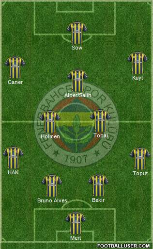 Fenerbahçe SK Formation 2013