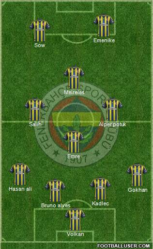 Fenerbahçe SK Formation 2013