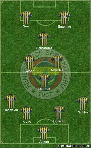 Fenerbahçe SK Formation 2013