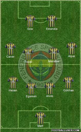 Fenerbahçe SK Formation 2013