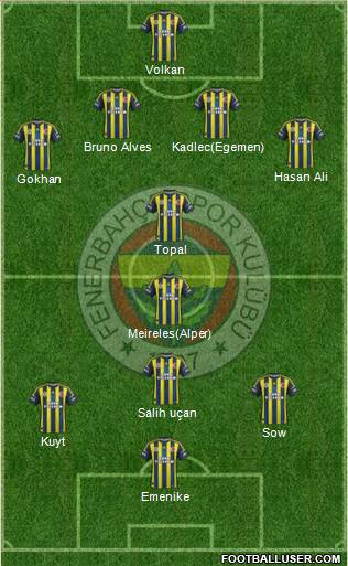 Fenerbahçe SK Formation 2013