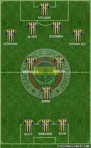 Fenerbahçe SK Formation 2013