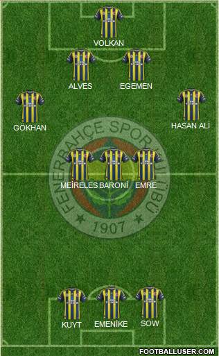 Fenerbahçe SK Formation 2013
