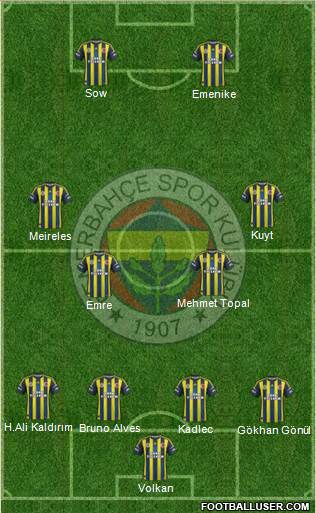 Fenerbahçe SK Formation 2013