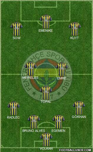Fenerbahçe SK Formation 2013