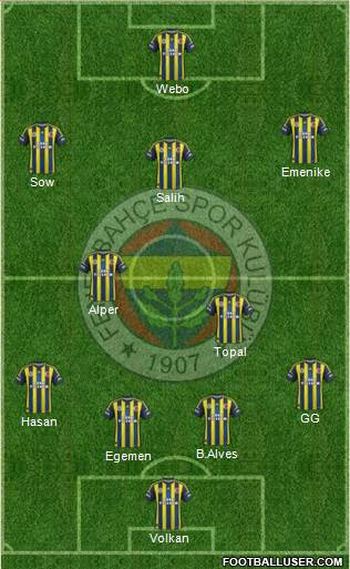 Fenerbahçe SK Formation 2013