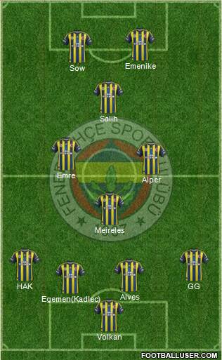 Fenerbahçe SK Formation 2013