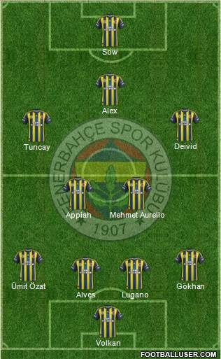Fenerbahçe SK Formation 2013