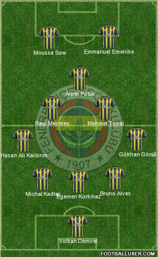Fenerbahçe SK Formation 2013