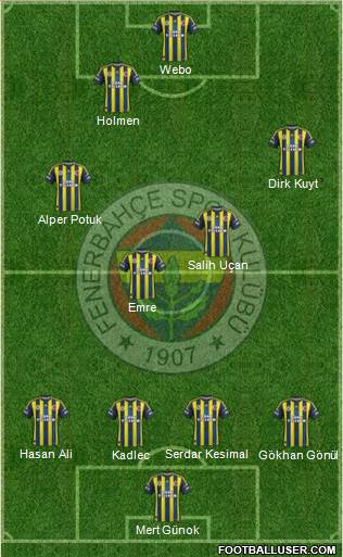 Fenerbahçe SK Formation 2013