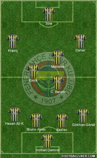 Fenerbahçe SK Formation 2013
