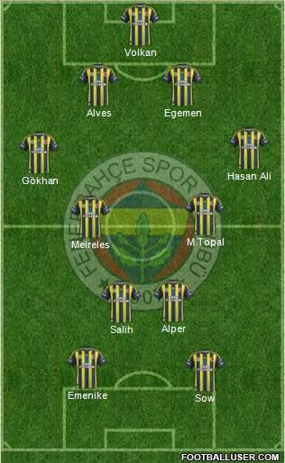 Fenerbahçe SK Formation 2013