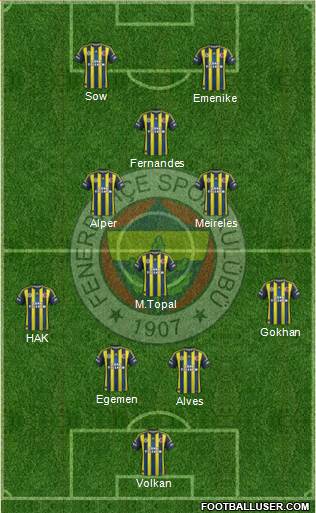 Fenerbahçe SK Formation 2013