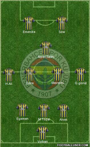 Fenerbahçe SK Formation 2013