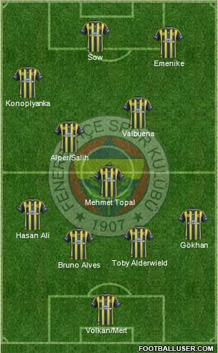 Fenerbahçe SK Formation 2013