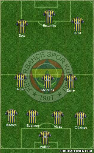 Fenerbahçe SK Formation 2013