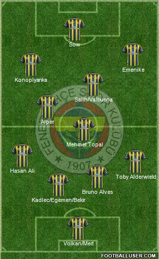 Fenerbahçe SK Formation 2013