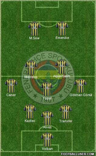 Fenerbahçe SK Formation 2013