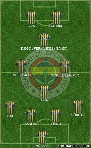 Fenerbahçe SK Formation 2013