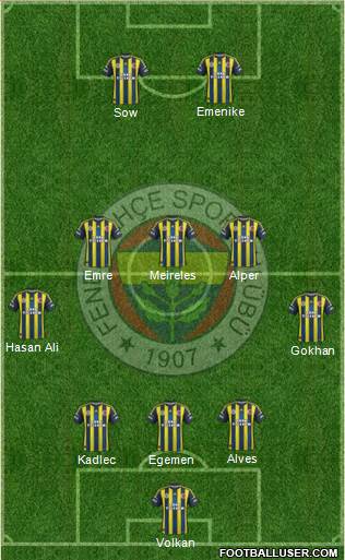 Fenerbahçe SK Formation 2013