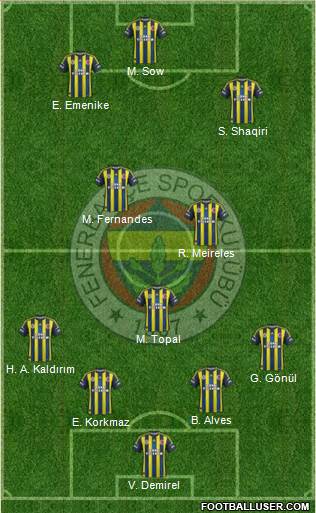 Fenerbahçe SK Formation 2013