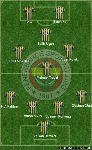 Fenerbahçe SK Formation 2013