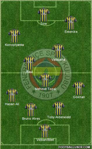 Fenerbahçe SK Formation 2013