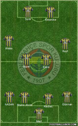 Fenerbahçe SK Formation 2013