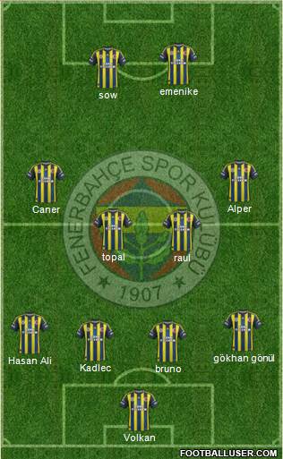 Fenerbahçe SK Formation 2013