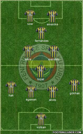 Fenerbahçe SK Formation 2013