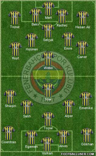Fenerbahçe SK Formation 2013
