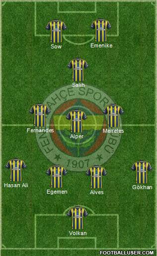 Fenerbahçe SK Formation 2013